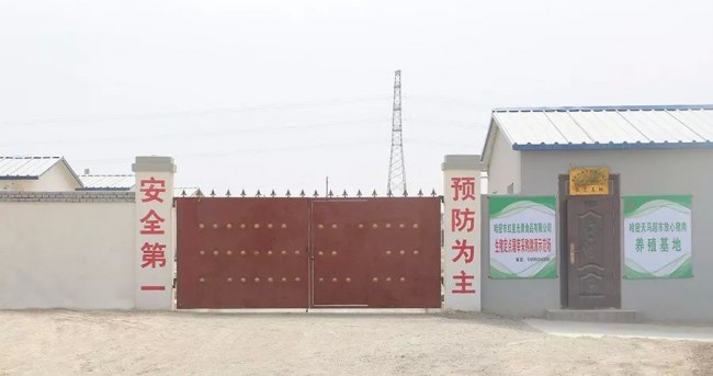 12_结果