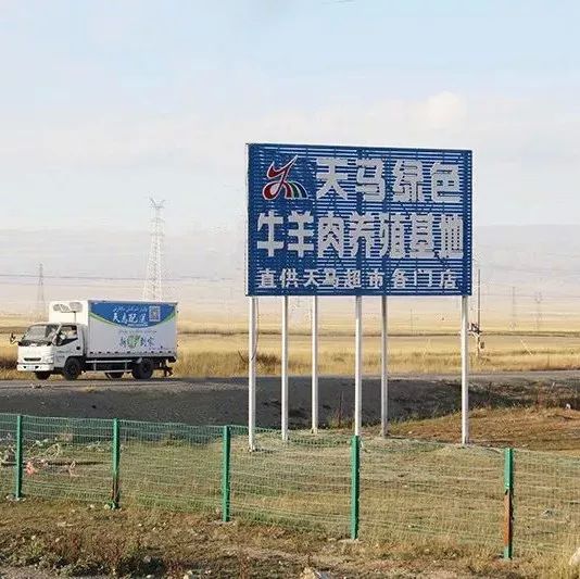 7_结果