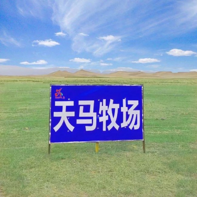 8_结果