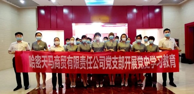 【喜迎建党一百周年】天马公司党支部开展主题党日活动